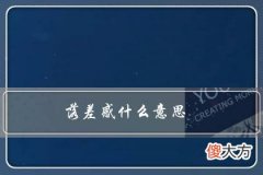 落差感什么意思